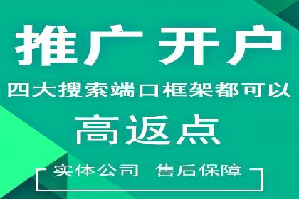 SEM服务助力中小企业案例分析